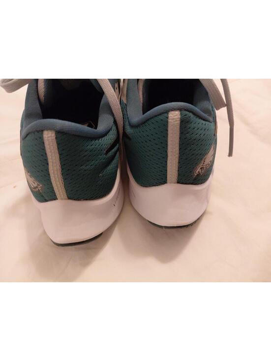 Philadelphia Eagles Nike NFL Air Zoom Pegasus 6.5 Running Shoe Sneaker Likenew main image 5